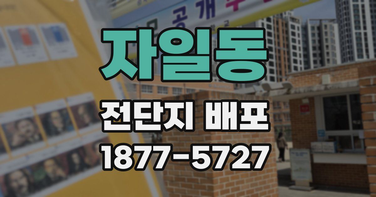 자일동 전단지 배포
