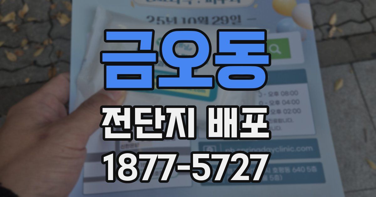 금오동 전단지 배포