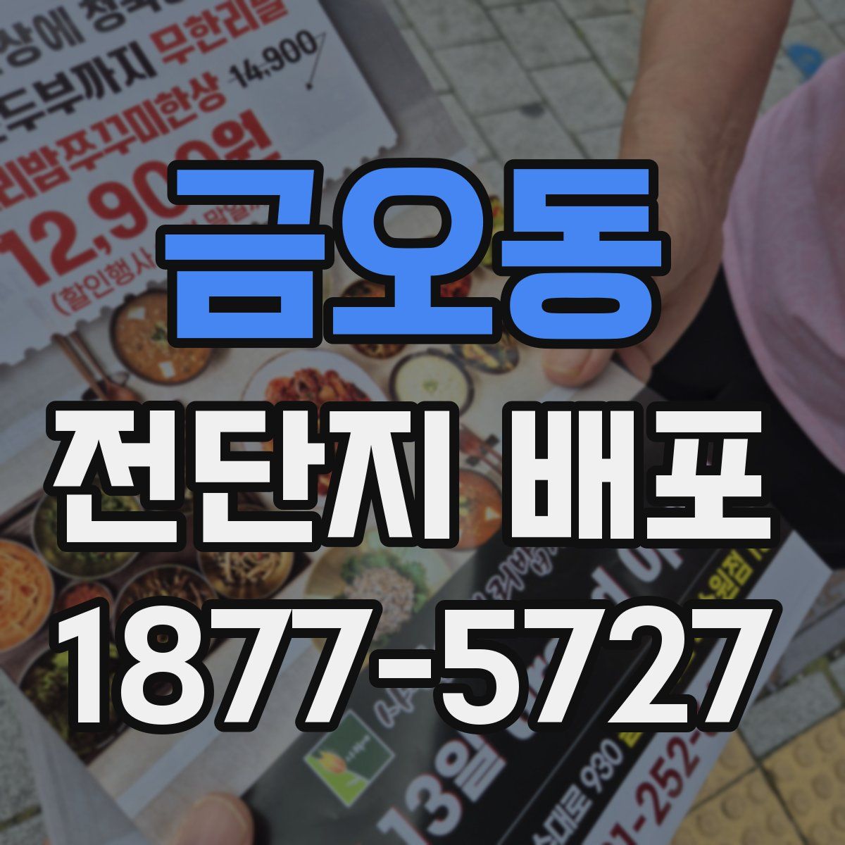 금오동 전단지 배포