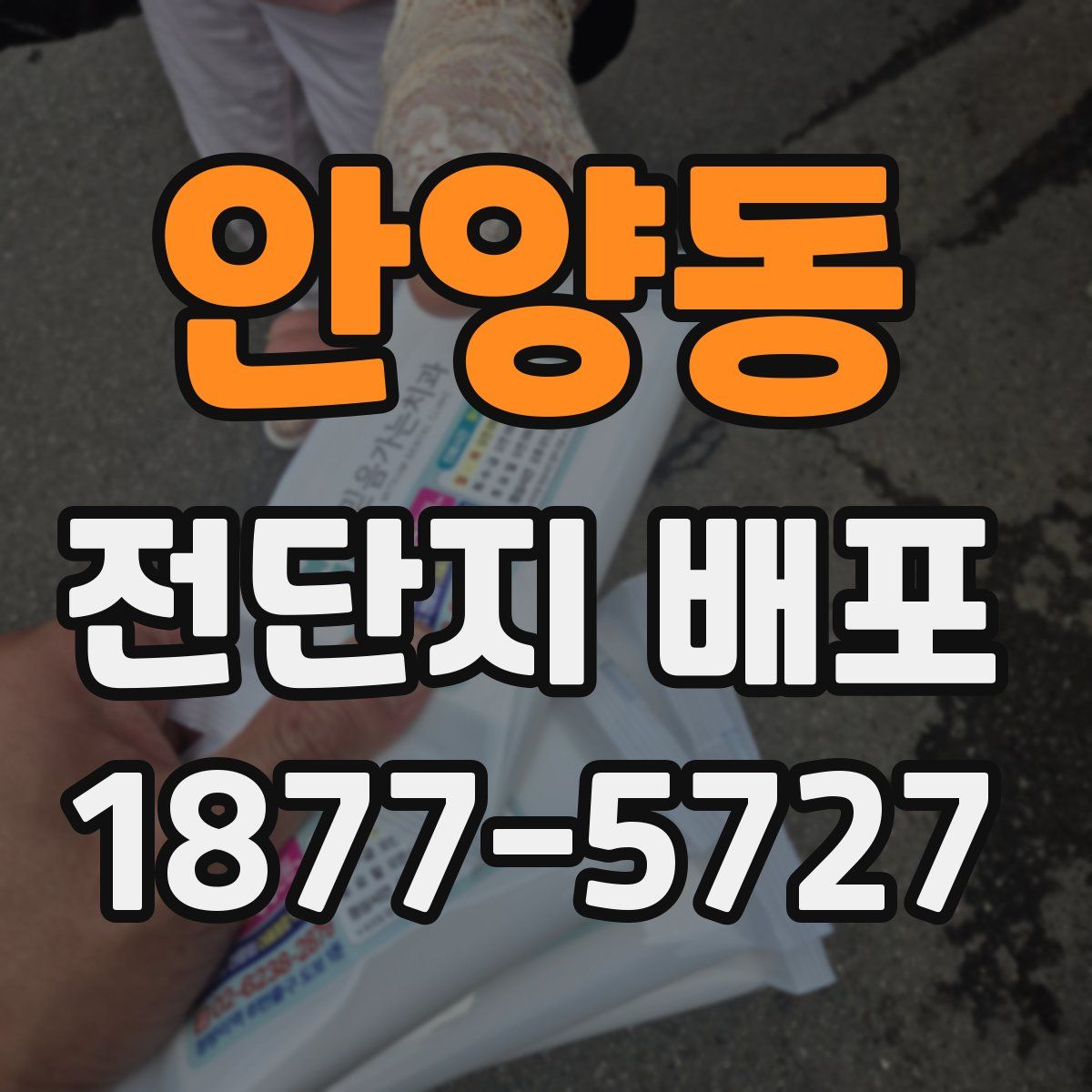 안양동 전단지 배포