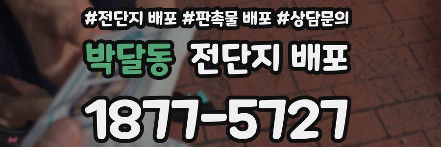 박달동 전단지 배포