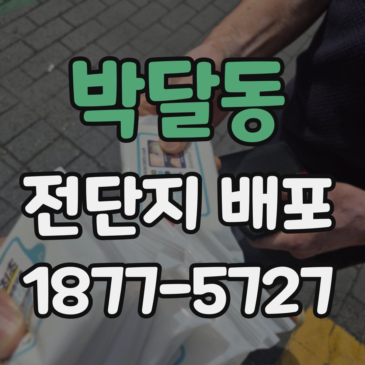 박달동 전단지 배포