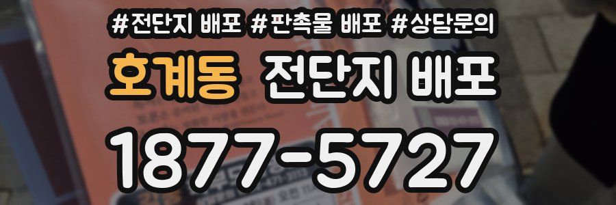 호계동 전단지 배포