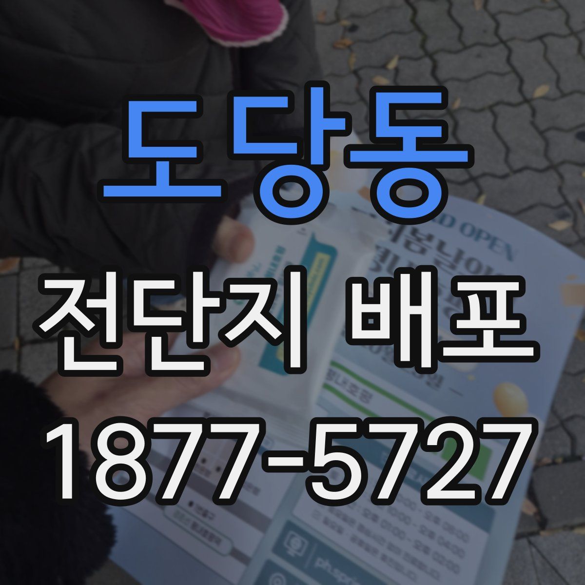 도당동 전단지 배포