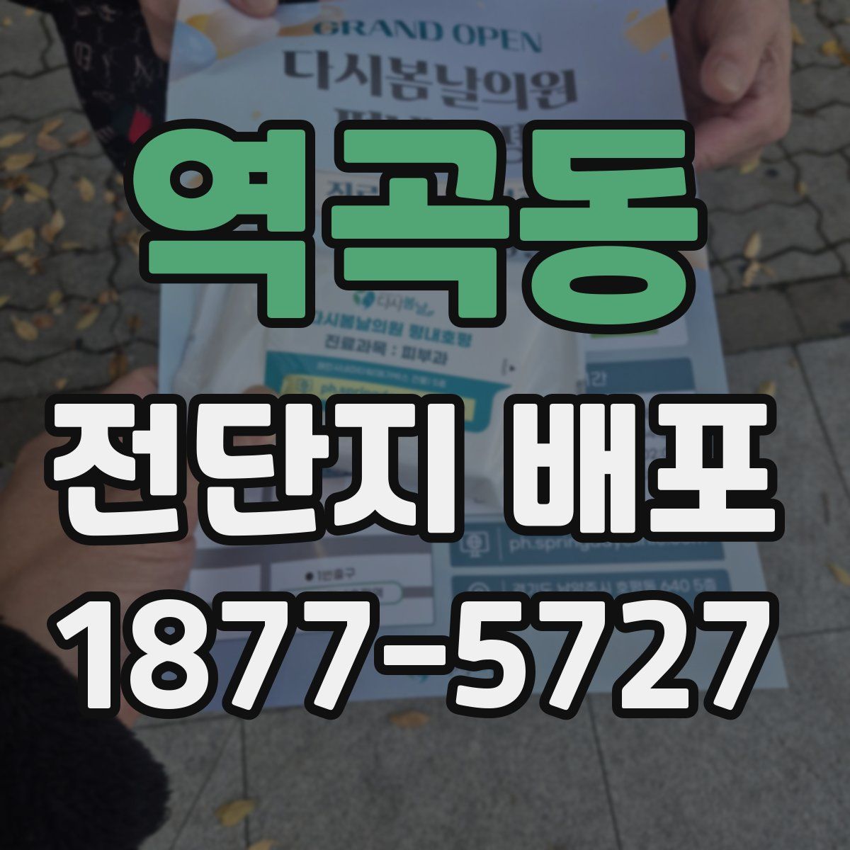 역곡동 전단지 배포