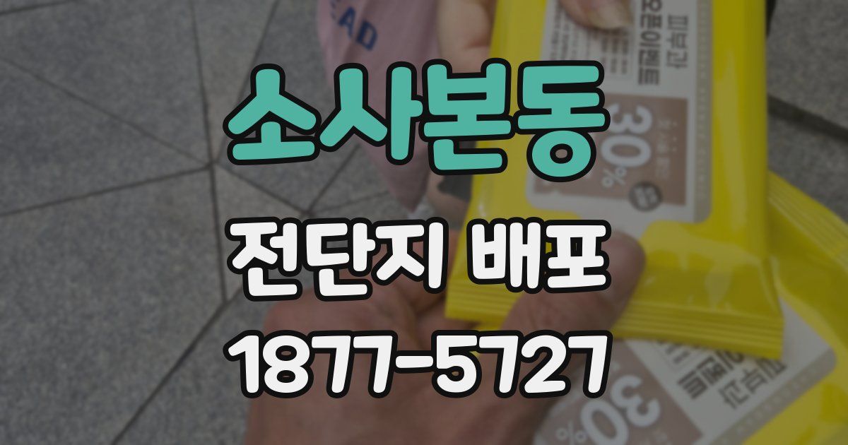 소사본동 전단지 배포