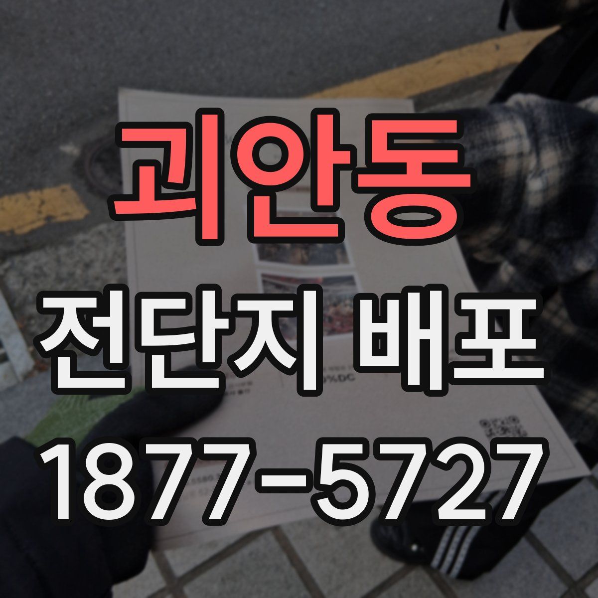 괴안동 전단지 배포