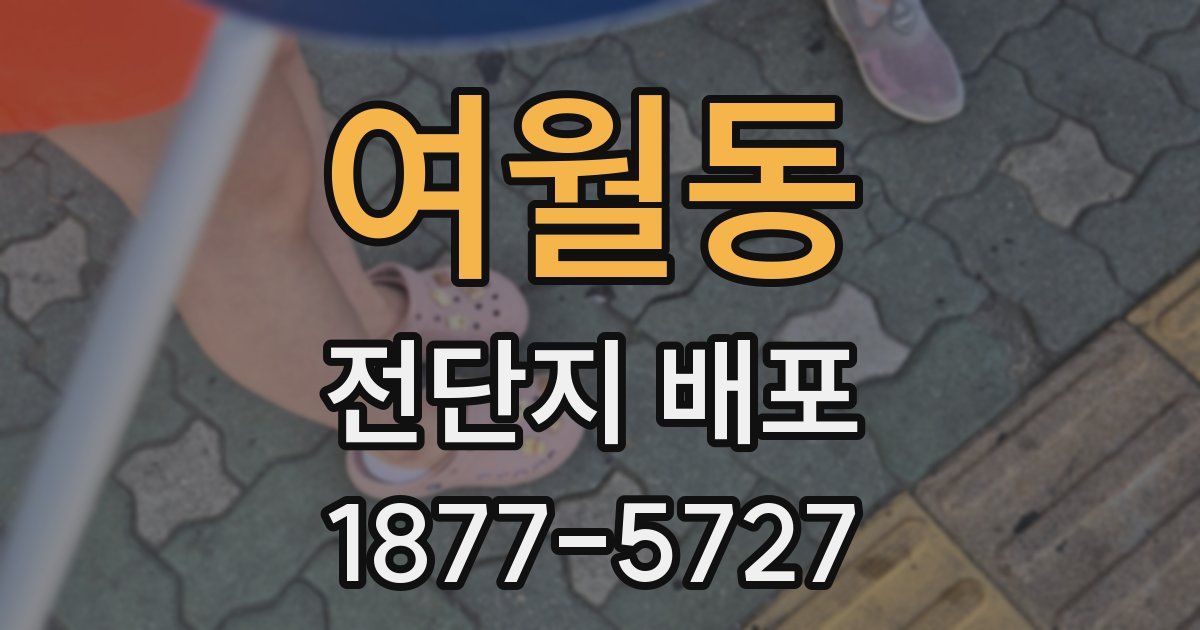 여월동 전단지 배포