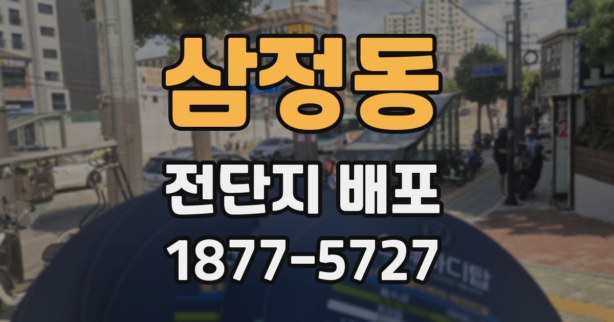 삼정동 전단지 배포