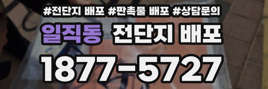 일직동 전단지 배포