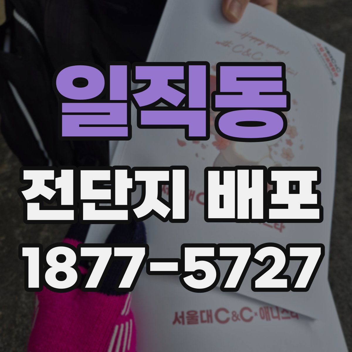 일직동 전단지 배포
