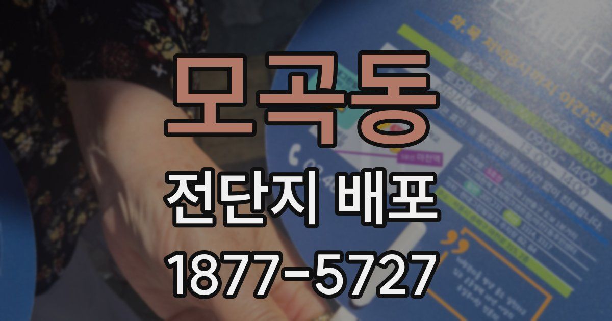 모곡동 전단지 배포