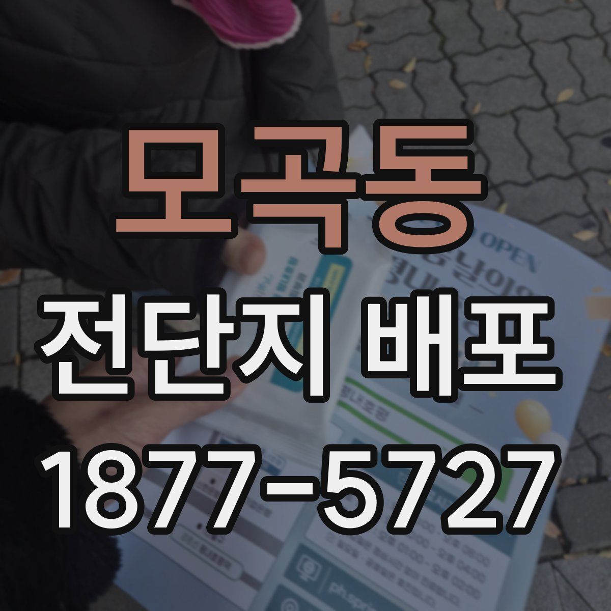 모곡동 전단지 배포