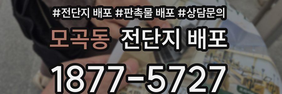 모곡동 전단지 배포