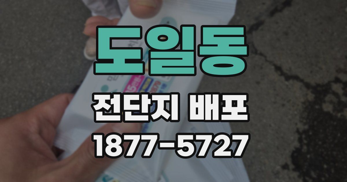 도일동 전단지 배포