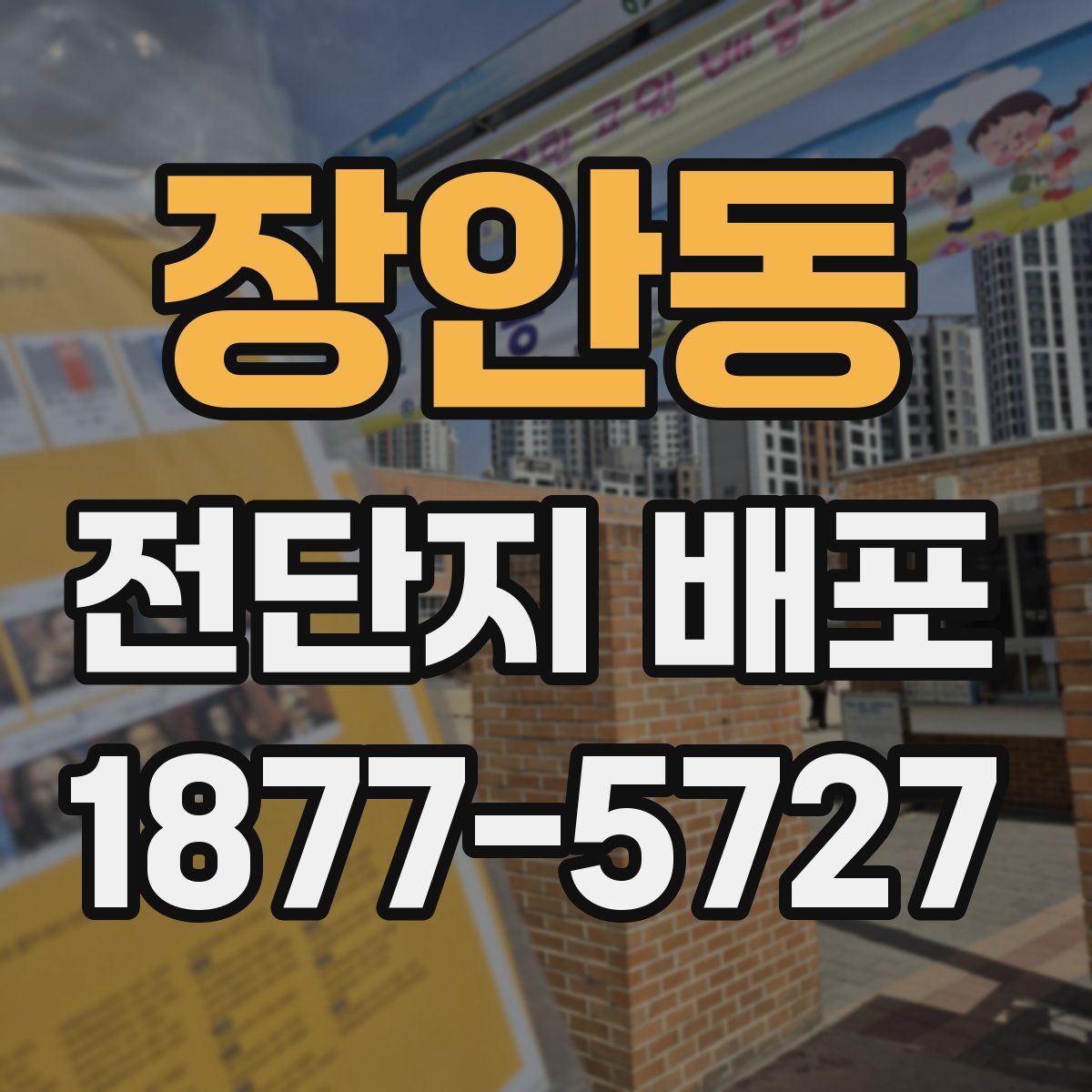 장안동 전단지 배포