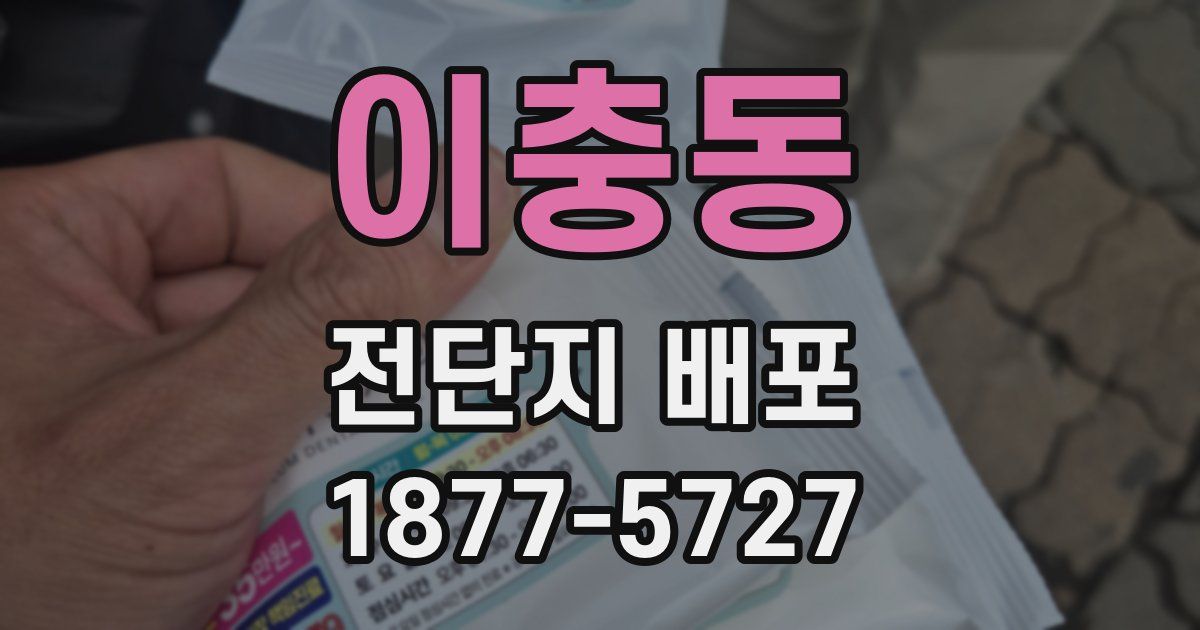 이충동 전단지 배포