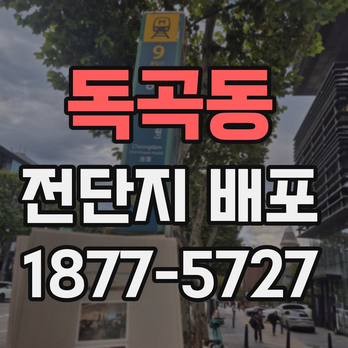 독곡동 전단지 배포