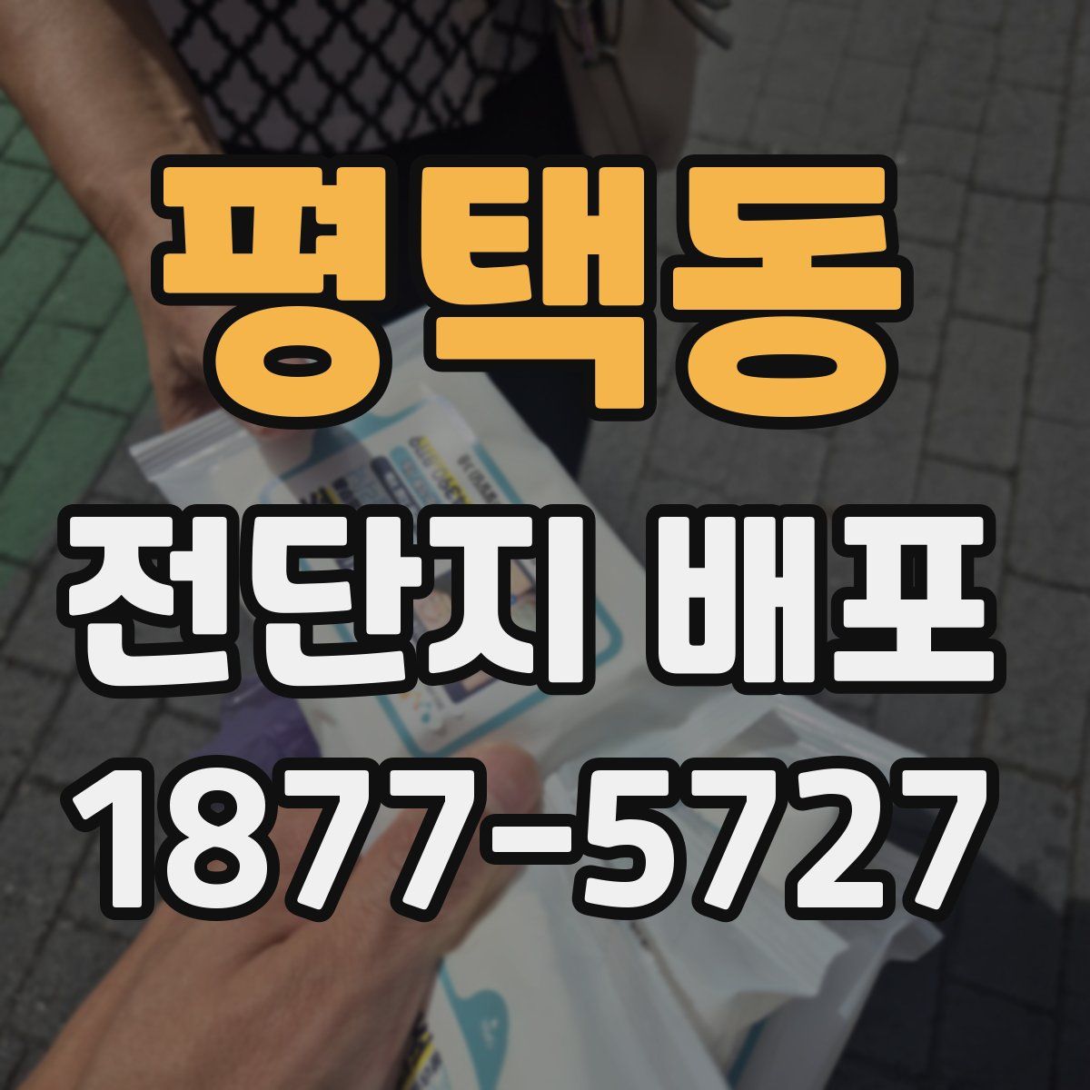 평택동 전단지 배포