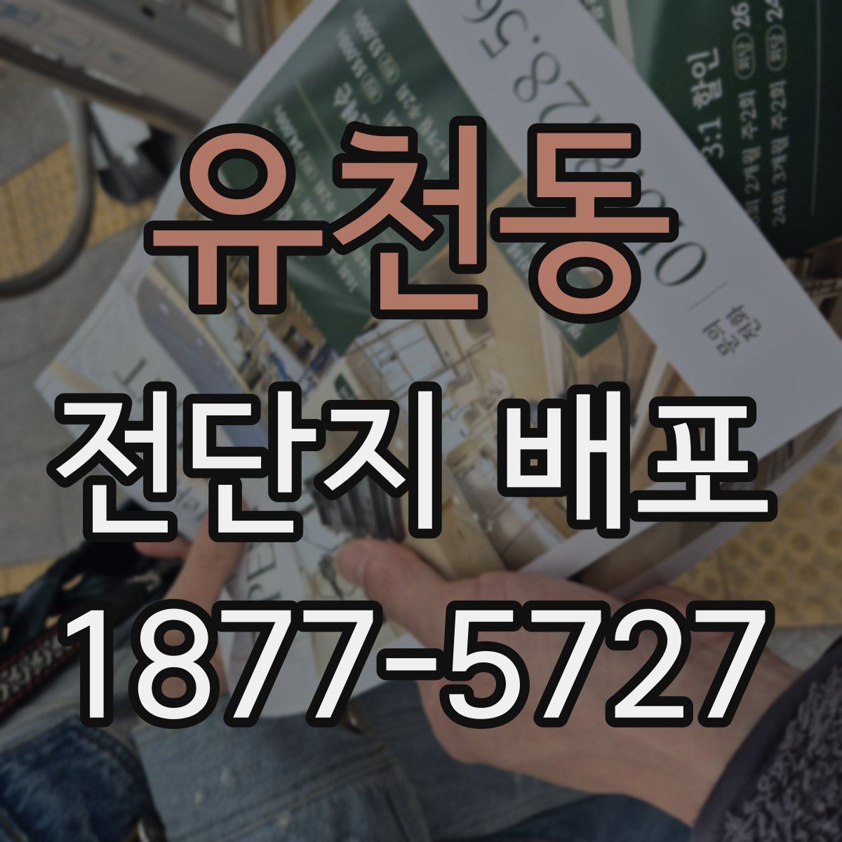 유천동 전단지 배포