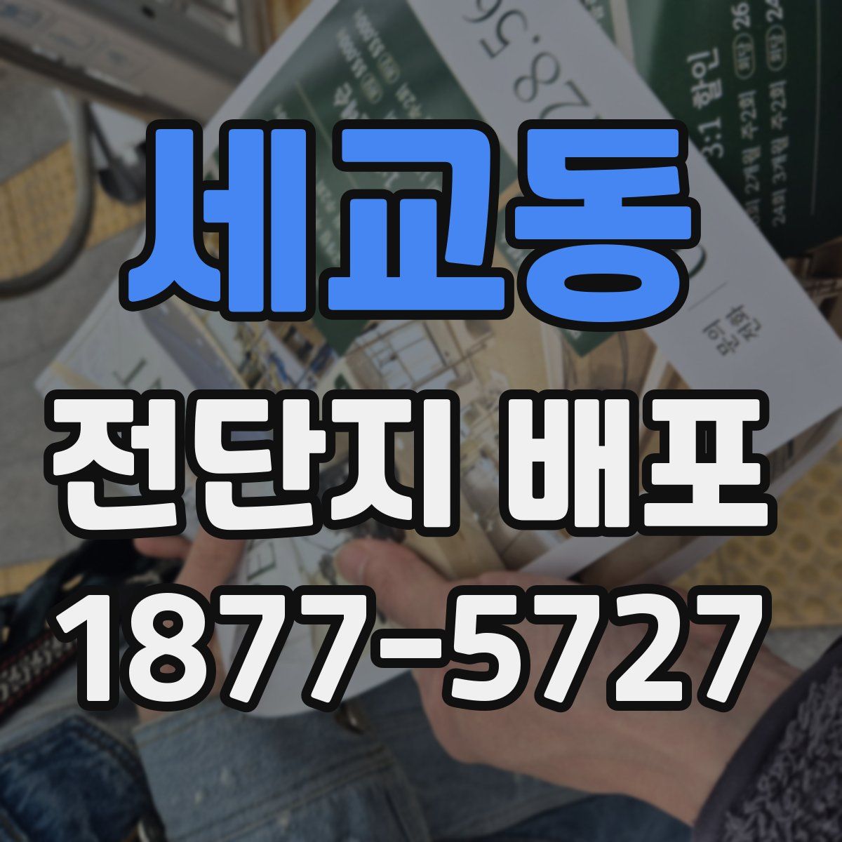 세교동 전단지 배포