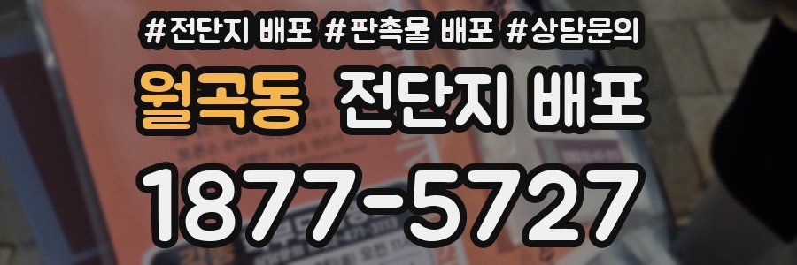 월곡동 전단지 배포
