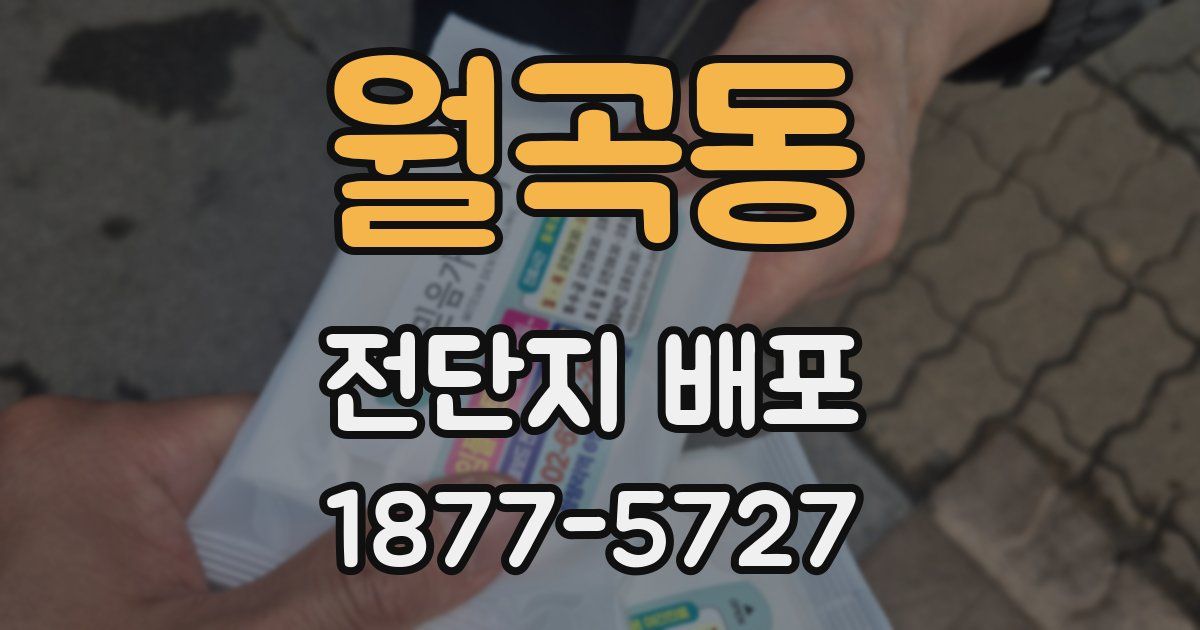 월곡동 전단지 배포