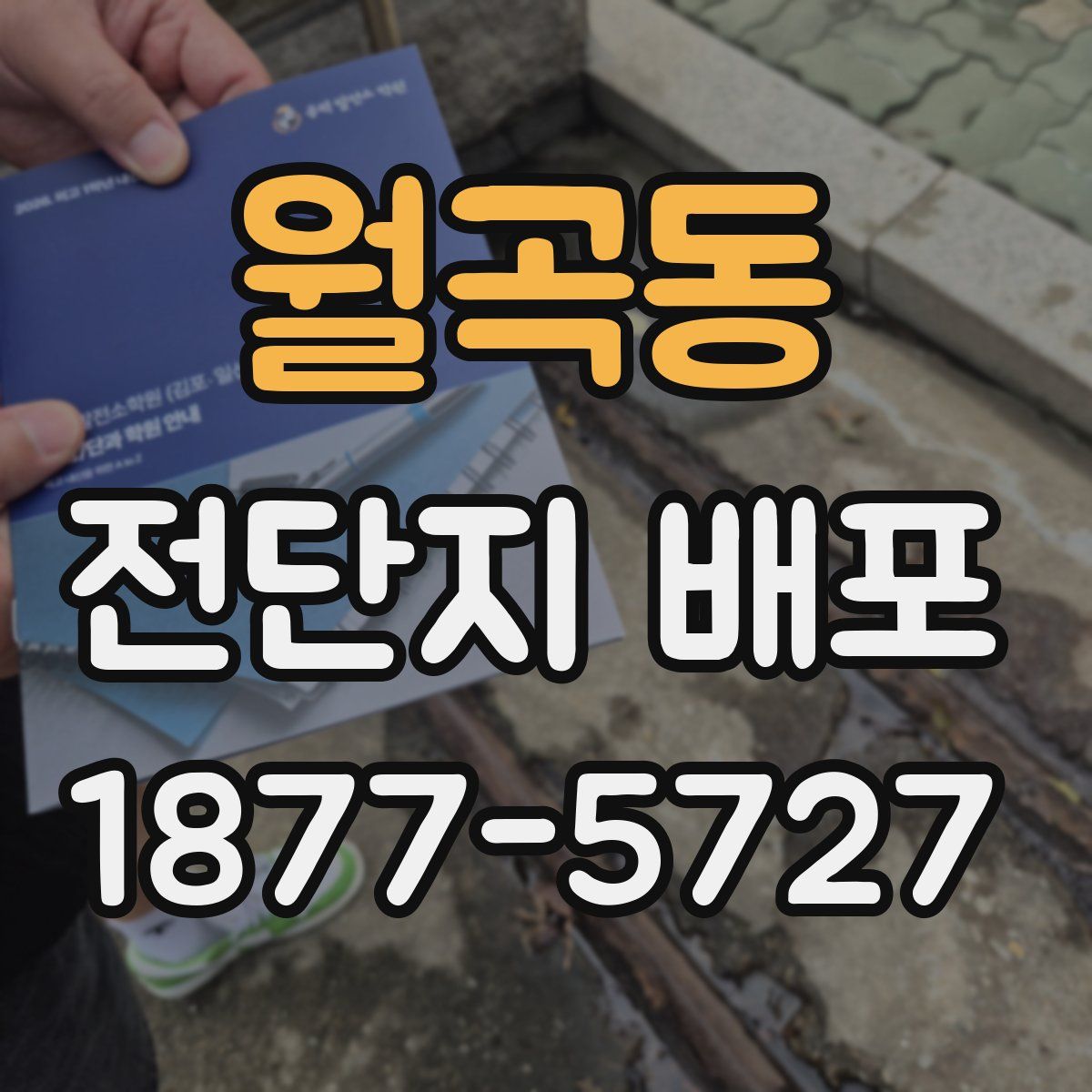 월곡동 전단지 배포
