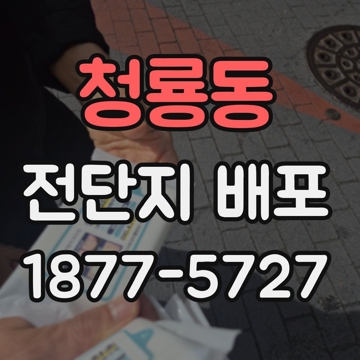 청룡동 전단지 배포