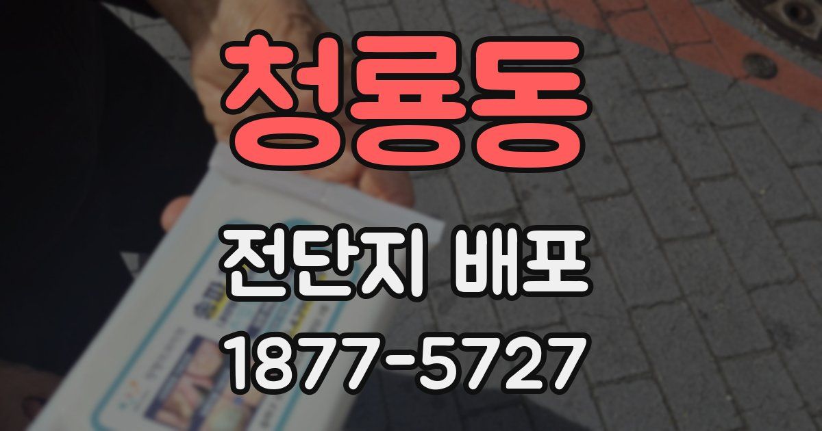 청룡동 전단지 배포