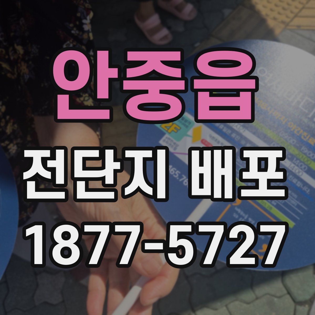 안중읍 전단지 배포