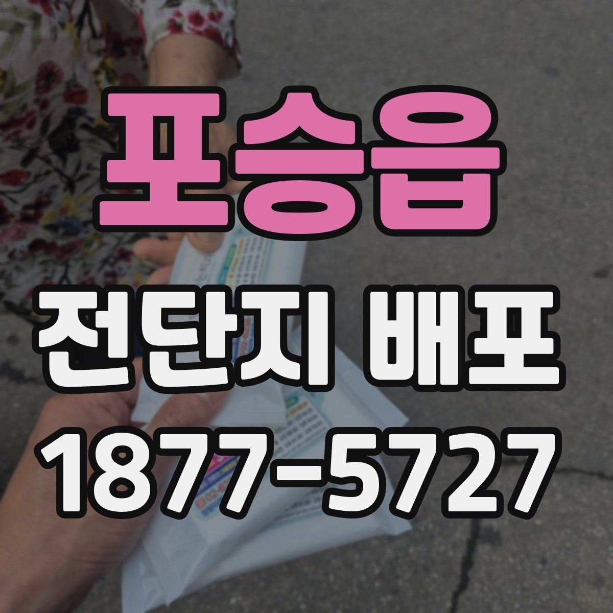 포승읍 전단지 배포