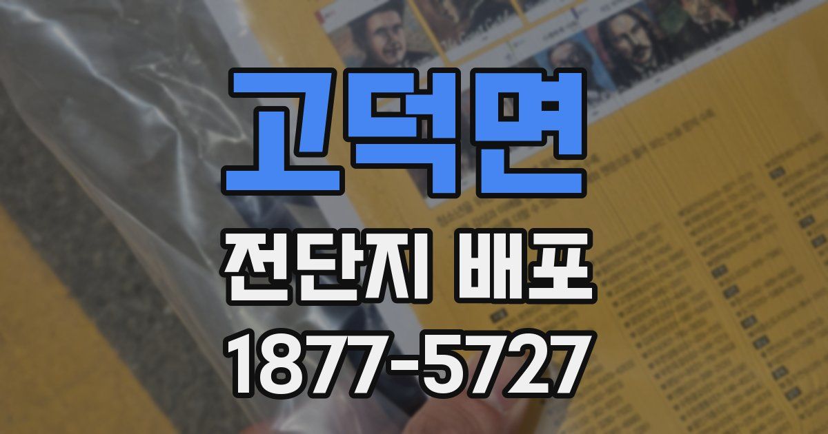 고덕면 전단지 배포