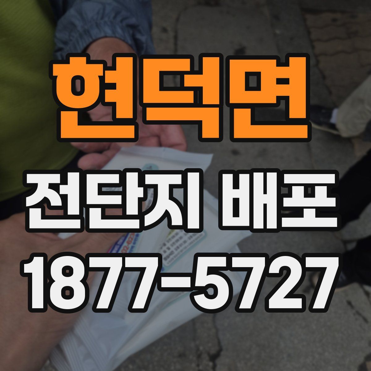 현덕면 전단지 배포