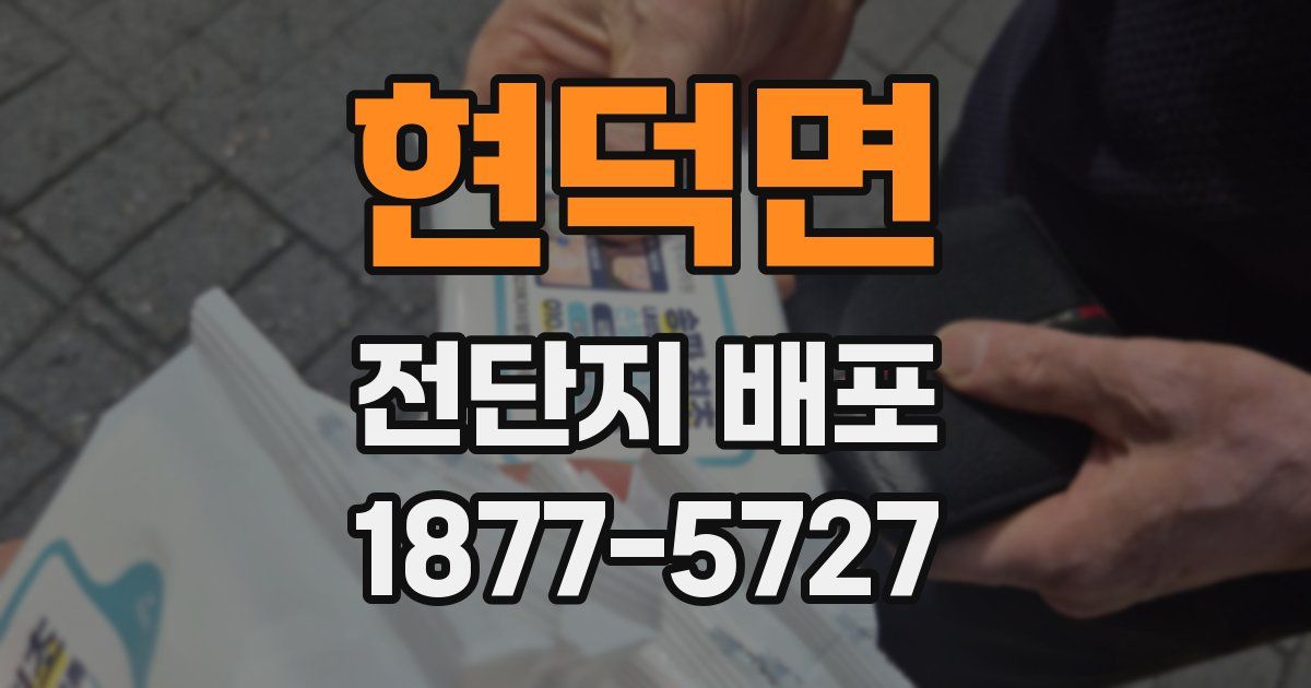 현덕면 전단지 배포