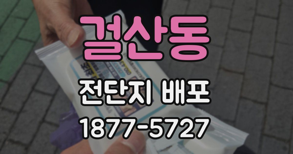 걸산동 전단지 배포
