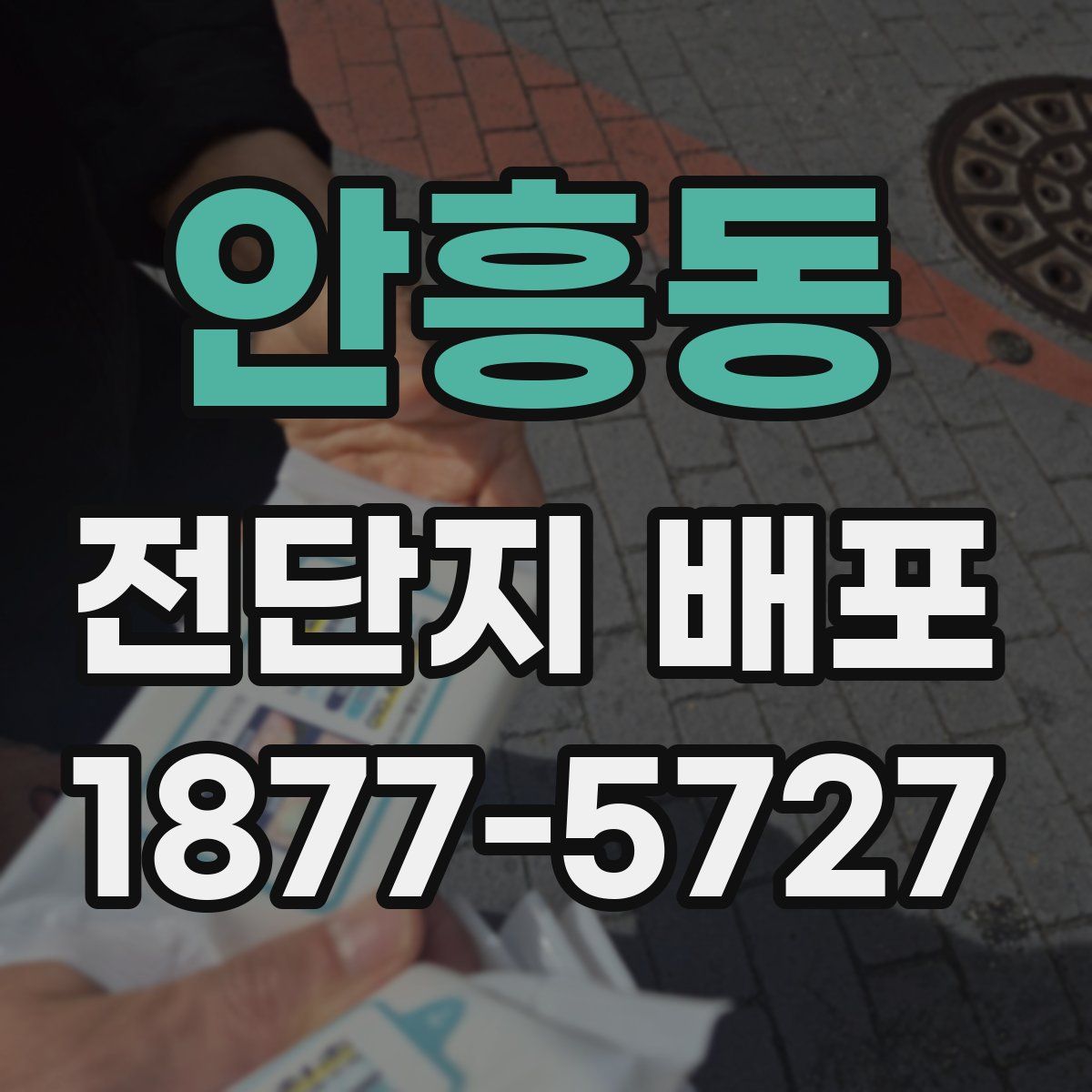 안흥동 전단지 배포