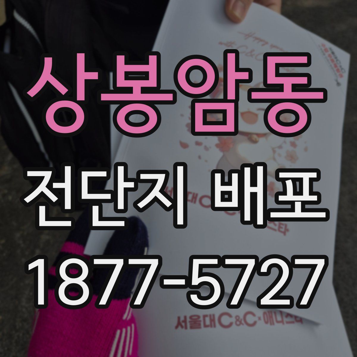 상봉암동 전단지 배포