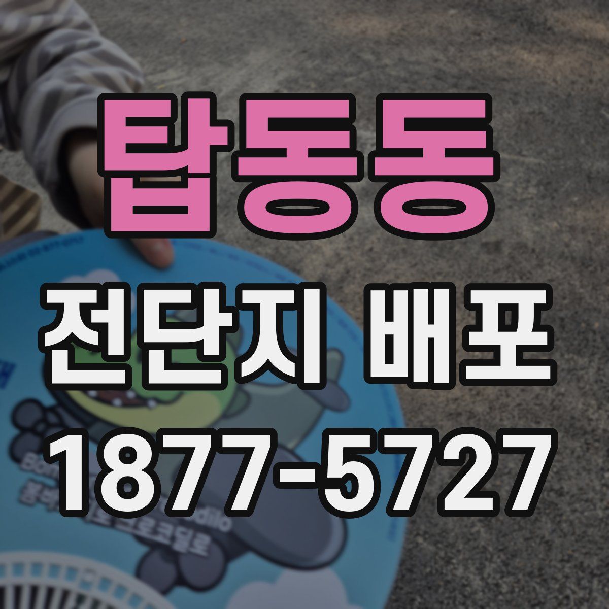 탑동동 전단지 배포