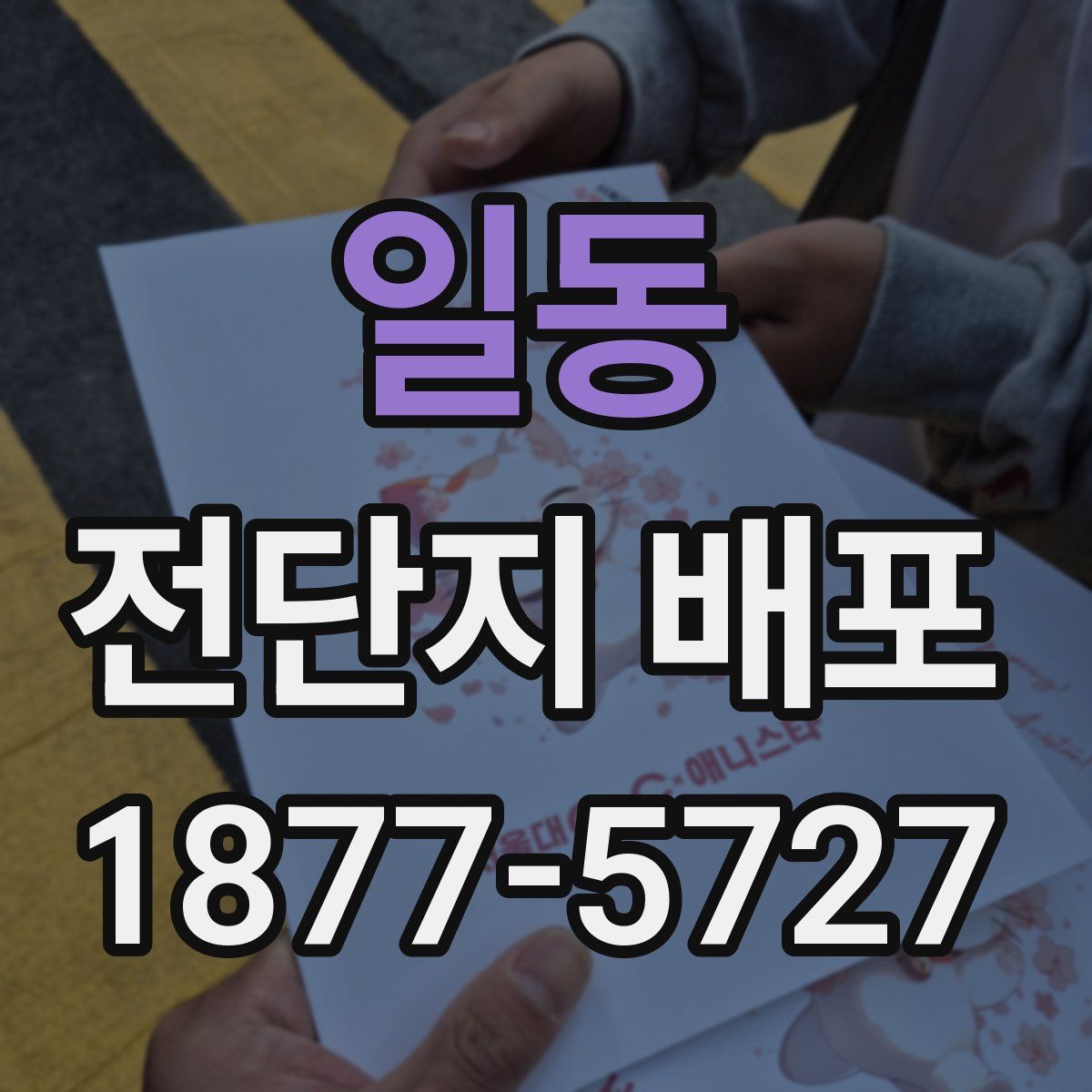 일동 전단지 배포