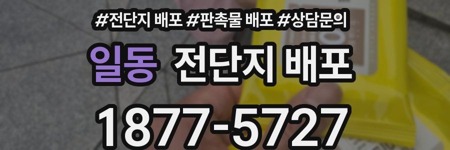 일동 전단지 배포