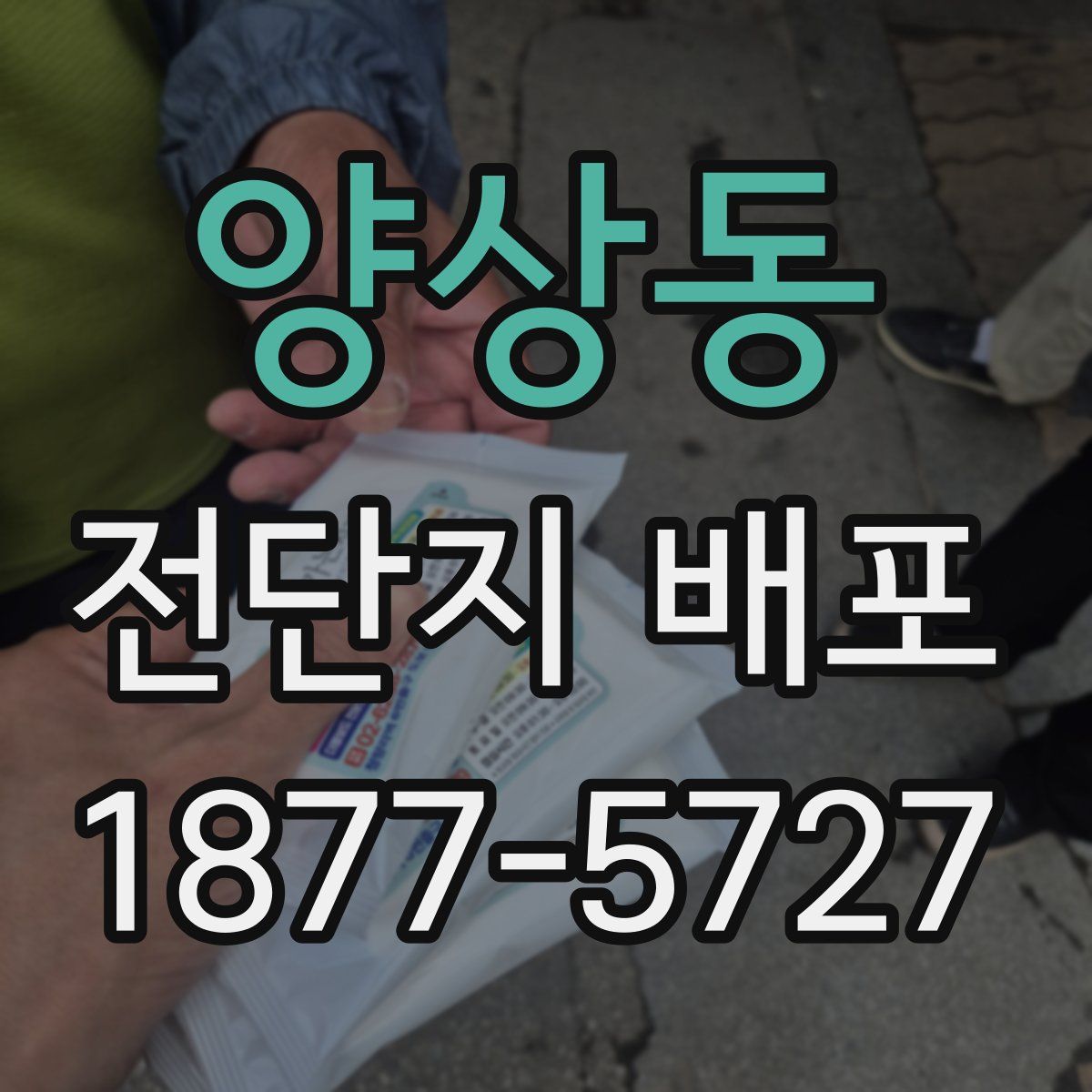 양상동 전단지 배포