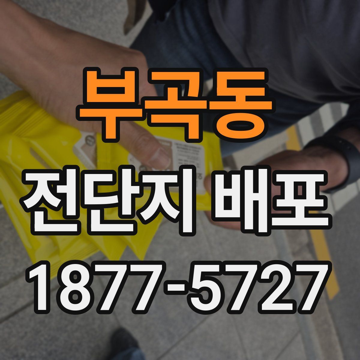 부곡동 전단지 배포