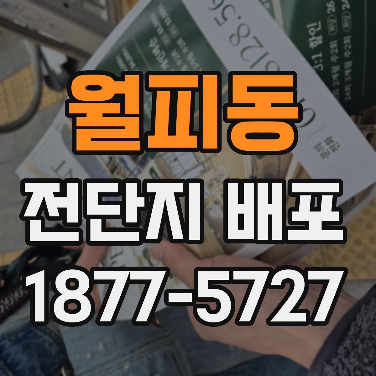월피동 전단지 배포