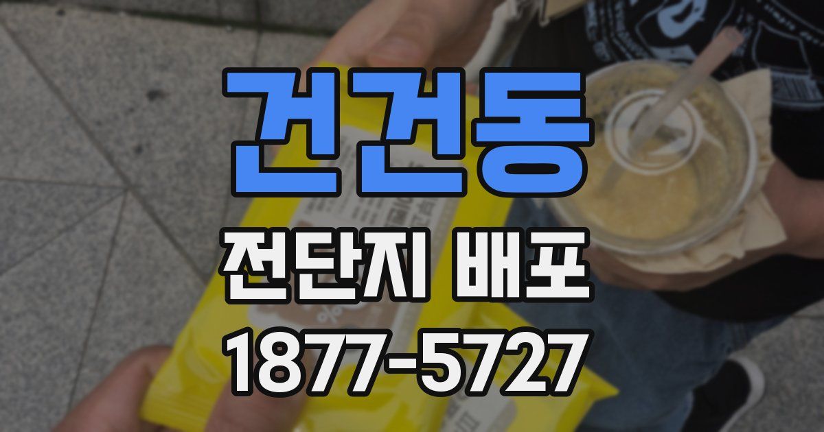 건건동 전단지 배포