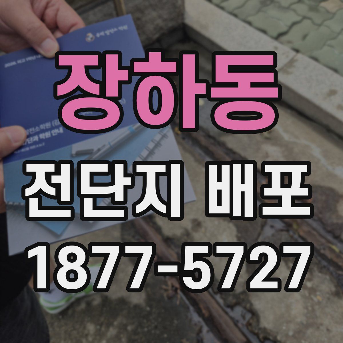 장하동 전단지 배포