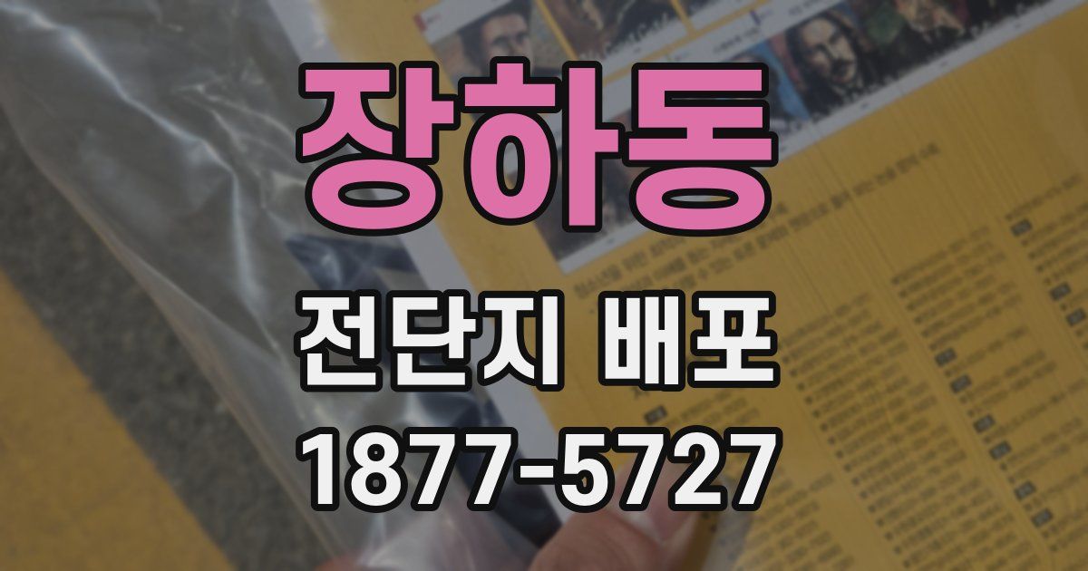 장하동 전단지 배포