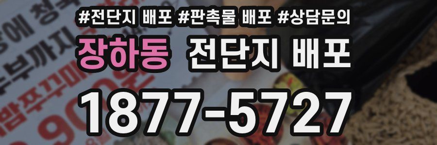 장하동 전단지 배포