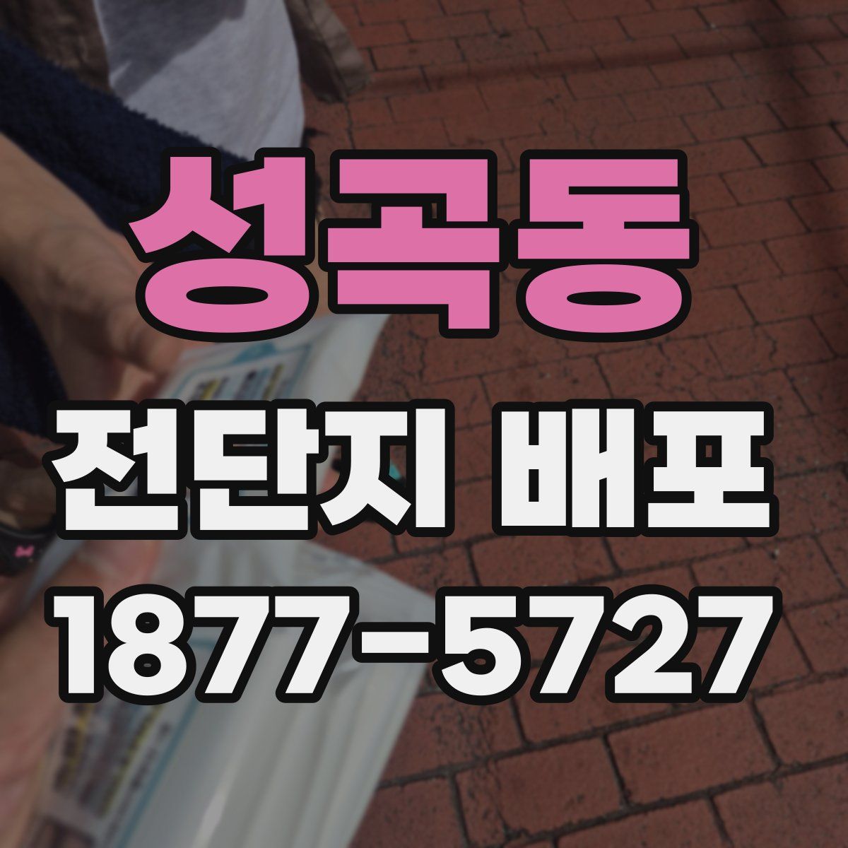 성곡동 전단지 배포