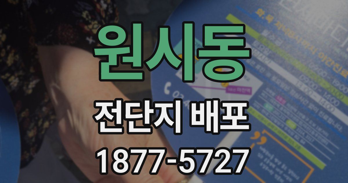 원시동 전단지 배포